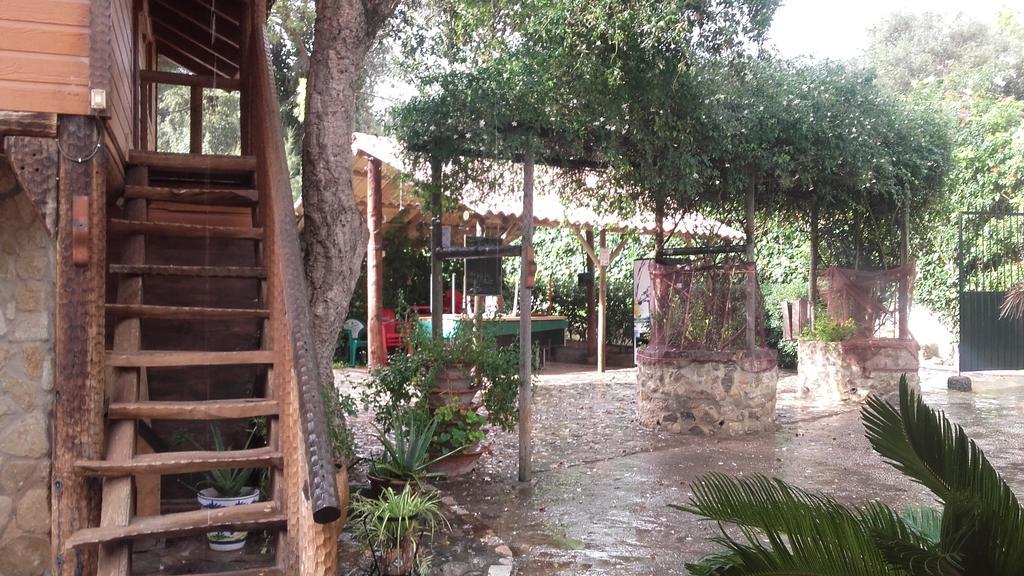 ברבטה Finca El Abuelo מראה חיצוני תמונה